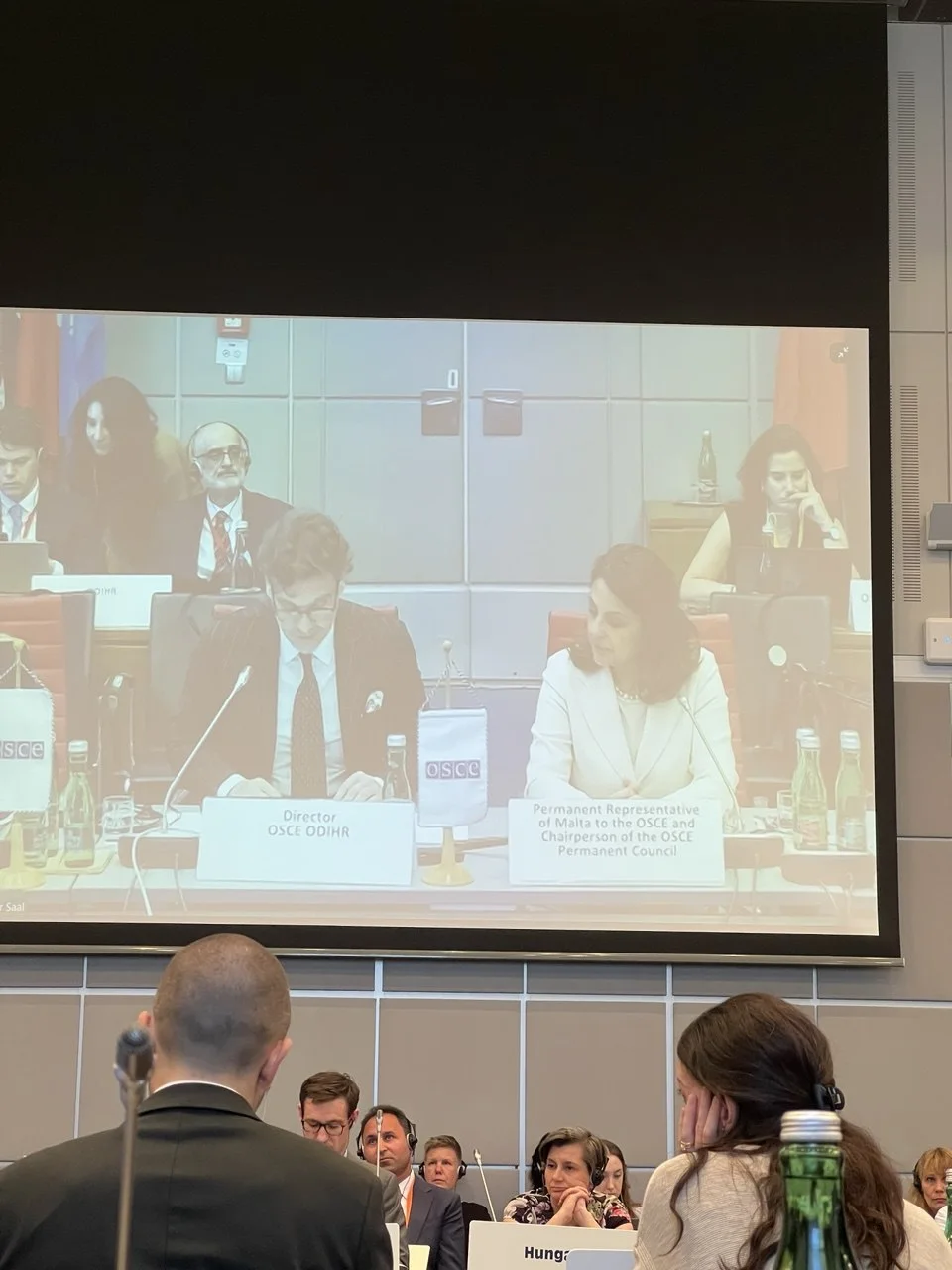 Opening of an ODIHR Supplementary Human Dimension Meeting in Vienna